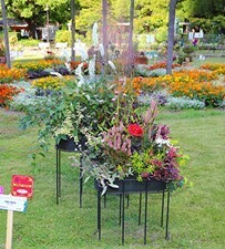 ガーデンコンテスト作品募集！「第22回日比谷公園ガーデニングショー2024」【８月２日（金）締切】