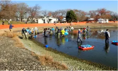 都立公園池でのかいぼりの実施日とボランティア募集について