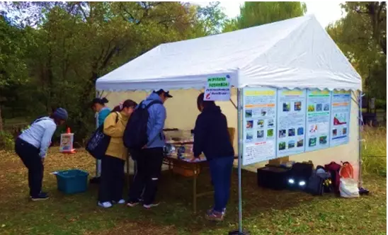 都立公園池でのかいぼりの実施日とボランティア募集について