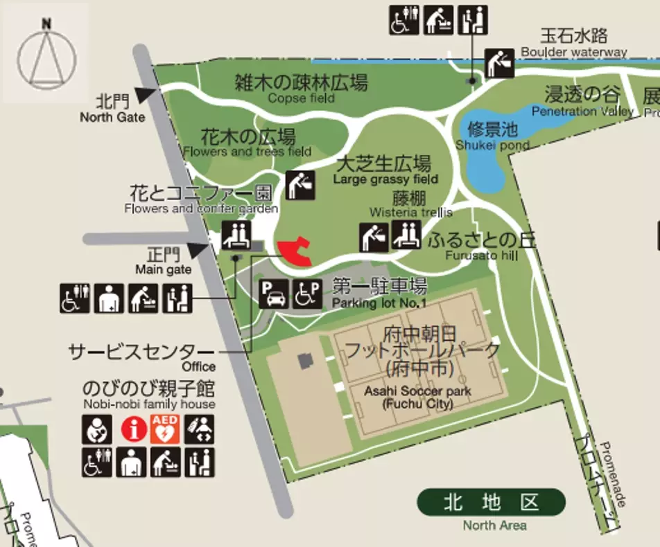 都立公園池でのかいぼりの実施日とボランティア募集について