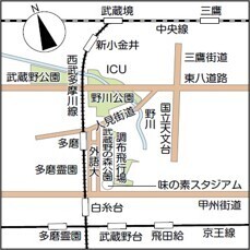 都立公園池でのかいぼりの実施日とボランティア募集について