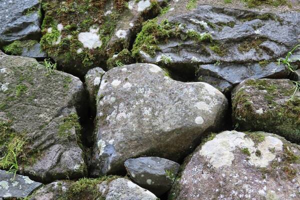 「おでかけ」おすすめ情報を届けている「駅探おでかけラボ」にて、国宝天守がある松江城の見どころやアクセス方法、入場料をご紹介した記事を公開しました。