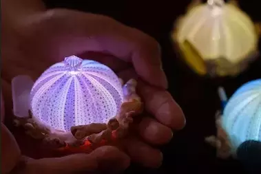 クリスマス直前の週末、隅田川へ遊びに行こう！12/21(土)・22(日)「すみだがわオープンテラス 2024 with あらかわ遊園クリスマス」開催！