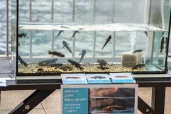 クリスマス直前の週末、隅田川へ遊びに行こう！12/21(土)・22(日)「すみだがわオープンテラス 2024 with あらかわ遊園クリスマス」開催！