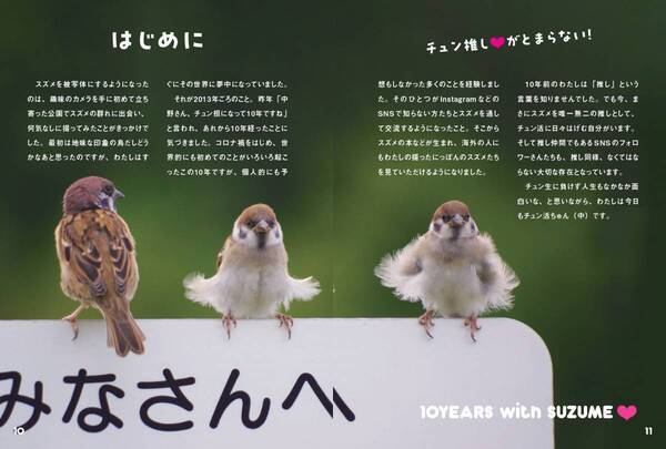 見れば見るほど 見たくなる『にっぽんスズメ日誌』が2月15日発売