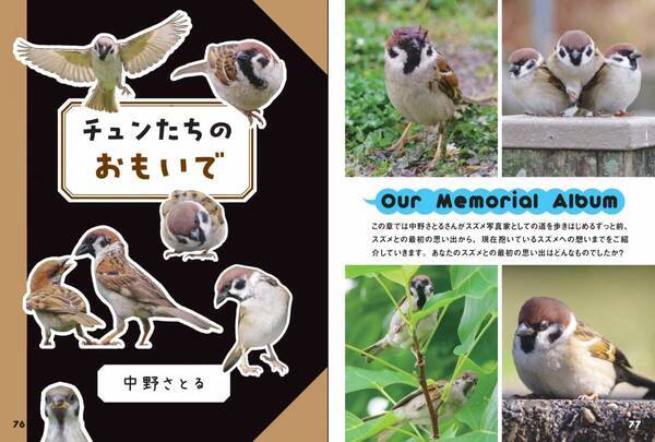 見れば見るほど 見たくなる『にっぽんスズメ日誌』が2月15日発売