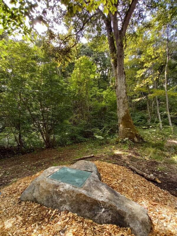 C.W.ニコル追悼「年輪」記念指輪、アファンの森から誕生