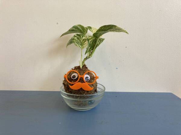 芝が髪の毛になる？！　ホームセンターグッデイの人気ワークショップ『芝坊やをつくろう』が『GreenSnap Marche FUKUOKA 2024 For Kids』に登場