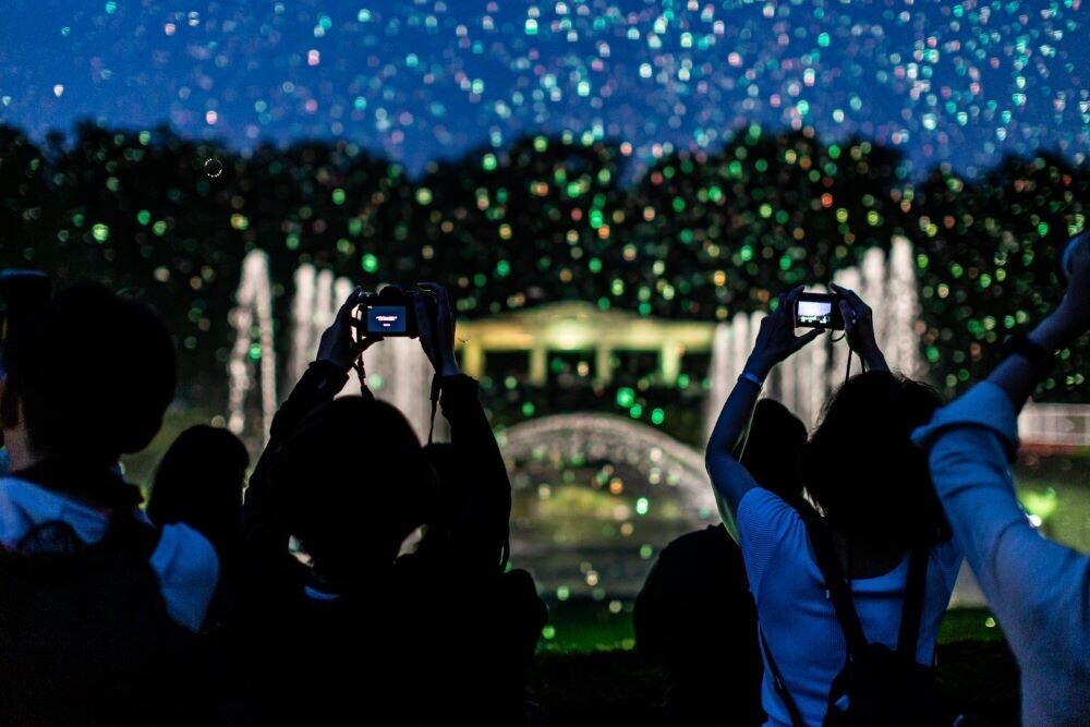 月夜に輝くオオオニバスと夜空を彩るバブルミネーション｜神代植物公園「大温室夜間公開」9月14日(土)・15日(日)開催！