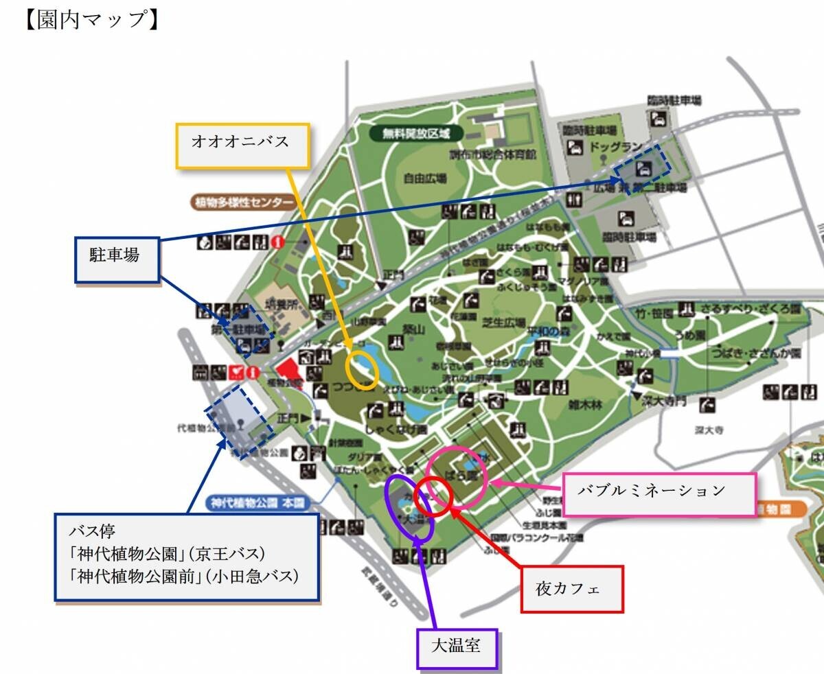 月夜に輝くオオオニバスと夜空を彩るバブルミネーション｜神代植物公園「大温室夜間公開」9月14日(土)・15日(日)開催！