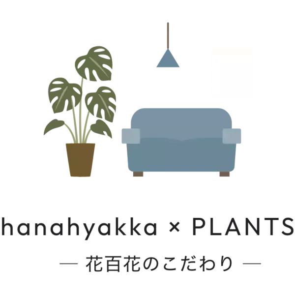 お花のオンラインショップ【花百花】はなひゃっか　　 新たに観葉植物ページが誕生しました！