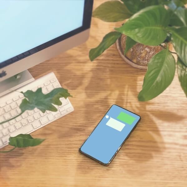 お花のオンラインショップ【花百花】はなひゃっか　　 新たに観葉植物ページが誕生しました！