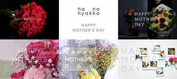 お花のオンラインショップ【花百花】はなひゃっか　　 新たに観葉植物ページが誕生しました！