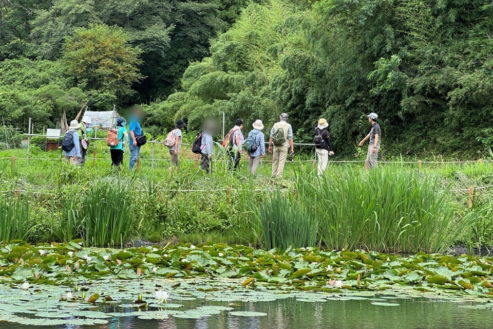 動植物の観察や池の整備作業も！11月16日(土)平山城址公園で自然の守り手「丘陵地レンジャー」体験、参加者募集！