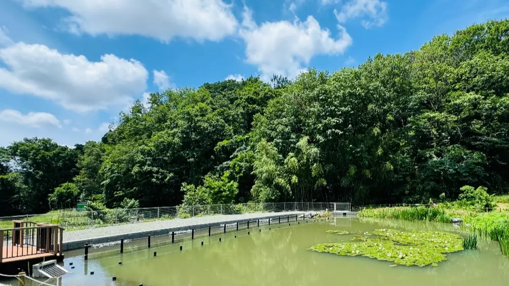 動植物の観察や池の整備作業も！11月16日(土)平山城址公園で自然の守り手「丘陵地レンジャー」体験、参加者募集！