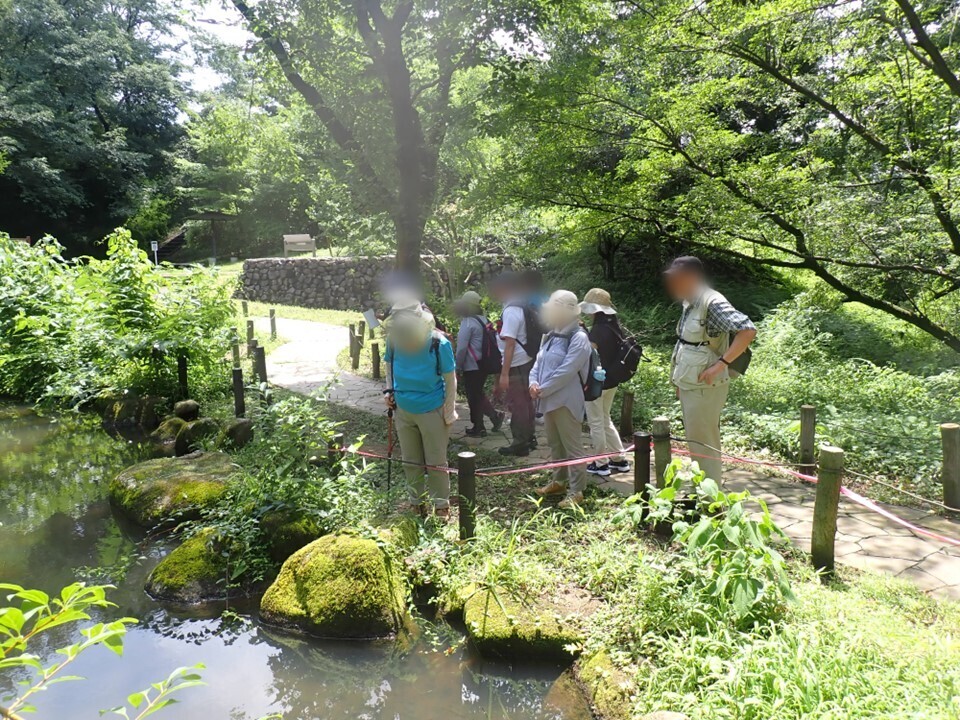 動植物の観察や池の整備作業も！11月16日(土)平山城址公園で自然の守り手「丘陵地レンジャー」体験、参加者募集！