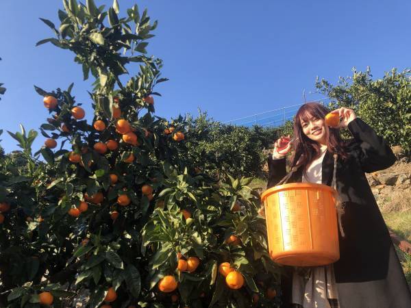 宮田愛萌が、みかんのふるさとで収穫体験！「NEXT TRIP ～和歌山 有田・下津 みかんの旅～」2月1日(木)夕方6時30分からBS12で放送！