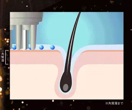 ヒト毛根細胞順化培養液や育毛剤で発毛・育毛を促進！ スカルプケアセット『HAIRMO』（ヘアモ）を新発売いたします。