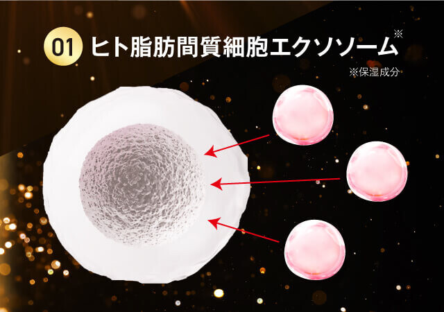 ヒト毛根細胞順化培養液や育毛剤で発毛・育毛を促進！ スカルプケアセット『HAIRMO』（ヘアモ）を新発売いたします。