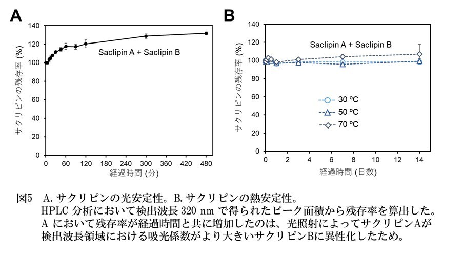 【名城大学】スイゼンジノリ由来の紫外線吸収物質「サクリピン」の新たなスキンケア作用を発見