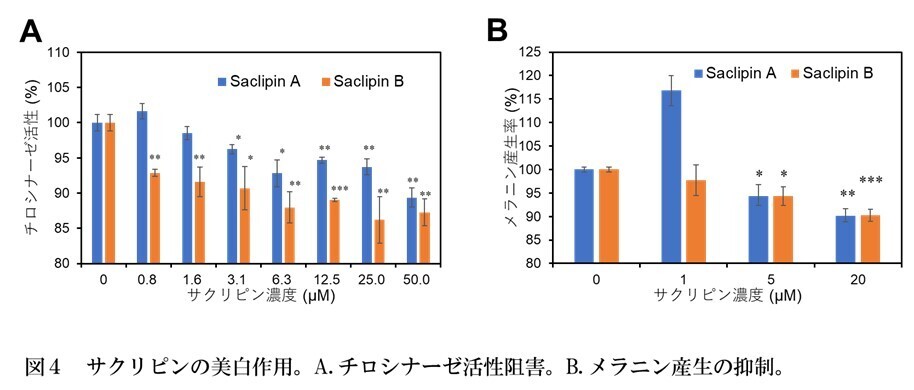 【名城大学】スイゼンジノリ由来の紫外線吸収物質「サクリピン」の新たなスキンケア作用を発見