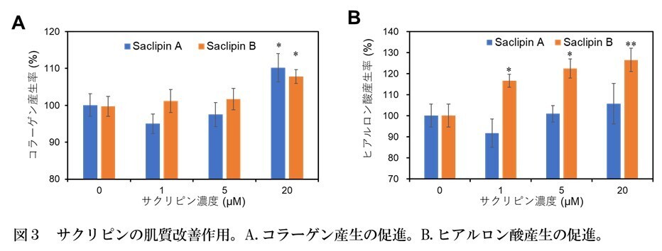 【名城大学】スイゼンジノリ由来の紫外線吸収物質「サクリピン」の新たなスキンケア作用を発見