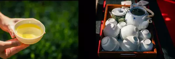 【開催レポート】《Ochanowa》5月4日みどりの日、神奈川県愛川町の茶園で「新茶摘み体験」を開催しました