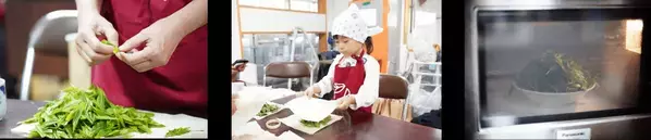 【開催レポート】《Ochanowa》5月4日みどりの日、神奈川県愛川町の茶園で「新茶摘み体験」を開催しました