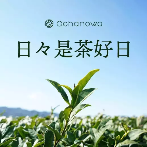 【開催レポート】《Ochanowa》5月4日みどりの日、神奈川県愛川町の茶園で「新茶摘み体験」を開催しました
