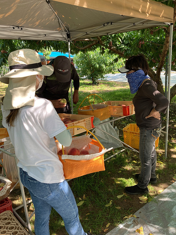 桃の木のオーナーになりませんか？農業体験やイベントを通して山梨の四季を満喫できる「桃の木オーナー制度」を始めました！（オーナー申込締切：4月30日）
