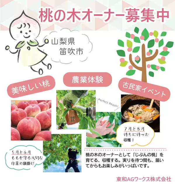 桃の木のオーナーになりませんか？農業体験やイベントを通して山梨の四季を満喫できる「桃の木オーナー制度」を始めました！（オーナー申込締切：4月30日）