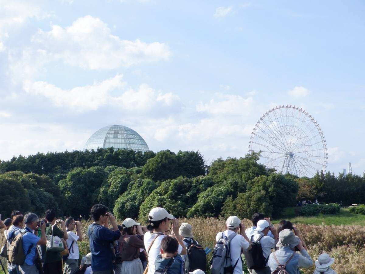 11月24日(日)  葛西臨海公園 鳥類園 開園30周年記念 「いきものまつり」開催！