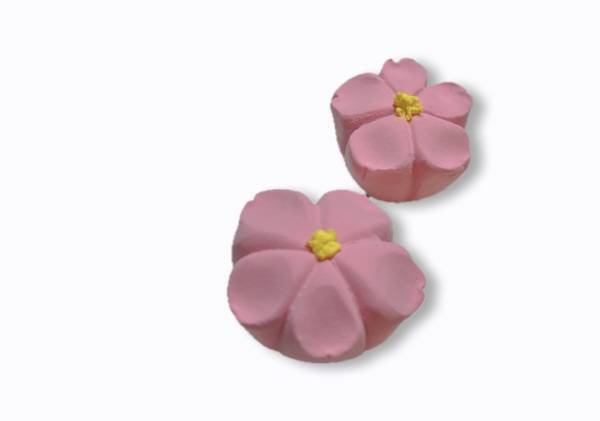 約1か月間、館内がギャラリーに！ 絵本『かいねこきぶん』×創作和菓子×CAFETEL 女性専用宿泊施設・カフェでコラボ企画