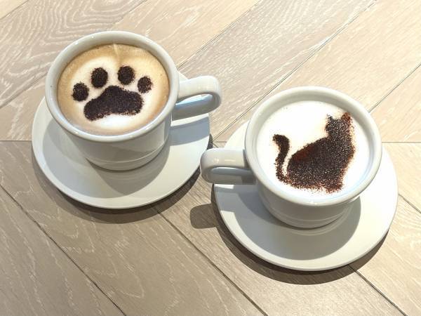 約1か月間、館内がギャラリーに！ 絵本『かいねこきぶん』×創作和菓子×CAFETEL 女性専用宿泊施設・カフェでコラボ企画