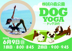 自然の中で愛犬と一緒にヨガをしよう！6月9日(日)林試の森公園「DOG YOGA」参加者募集中！