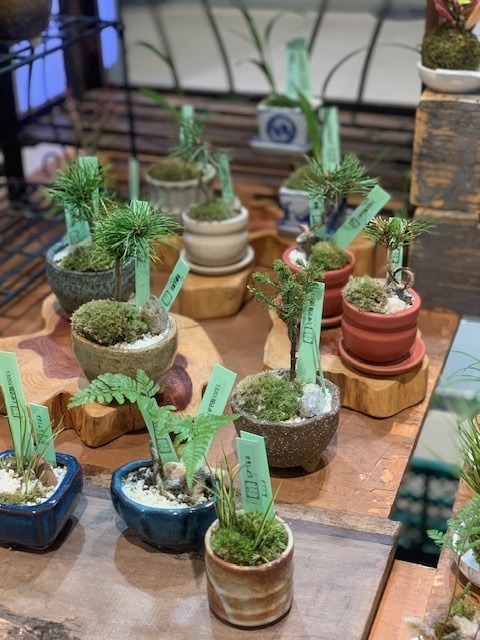 KUZUHA MALL×株式会社ヒューマンフォーラム KUZUHA MALLで回収した衣服を無料でお持ち帰りいただける 第4回 「¥0 Market」を開催