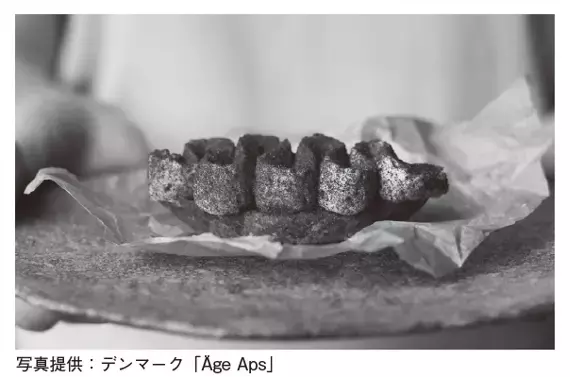 【ロバート・馬場裕之氏推薦! 】村井裕一郎 著『ビジネスエリートが知っている　教養としての発酵』2024年1月16日刊行