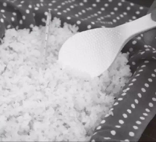 【ロバート・馬場裕之氏推薦! 】村井裕一郎 著『ビジネスエリートが知っている　教養としての発酵』2024年1月16日刊行