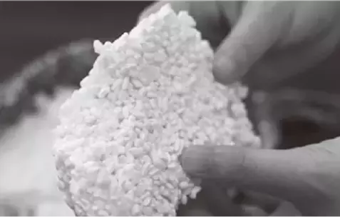 【ロバート・馬場裕之氏推薦! 】村井裕一郎 著『ビジネスエリートが知っている　教養としての発酵』2024年1月16日刊行