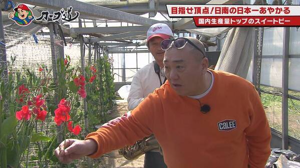 【カープ道】『日南の日本一にあやかり旅　後半戦』 ２月７日（水）深夜放送　広島ホームテレビ