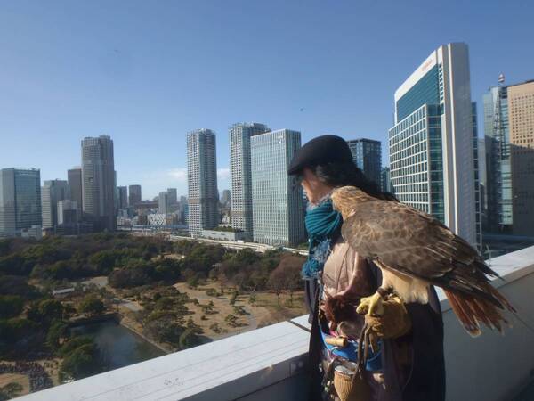 お正月はぜひ浜離宮恩賜庭園へ！1/2・1/3は正月開園し、「放鷹術」の実演、「獅子舞」の公演など新春ならではの催しを実施します