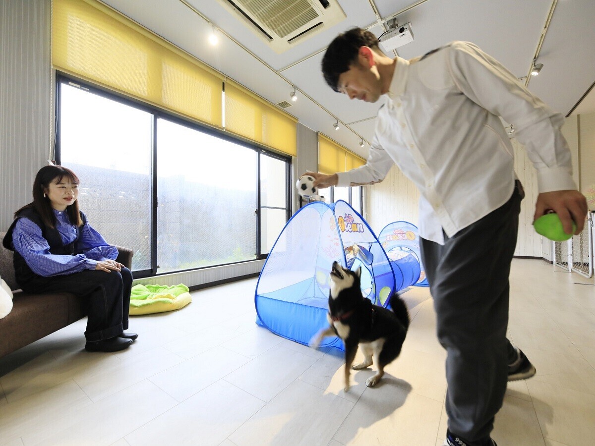 箱根や西伊豆の“愛犬と泊まれるホテル”にてフォトコンテスト開催　抽選で4組8名様に無料ペア宿泊券プレゼント