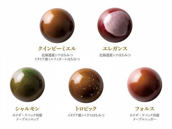 国内コンテスト優勝チョコレート「ショコラクインビー」が2024年バレンタインver.にリニューアル！はちみつ×果実×カカオの魅力に酔いしれる一箱【パティスリーQBG／レディベア】