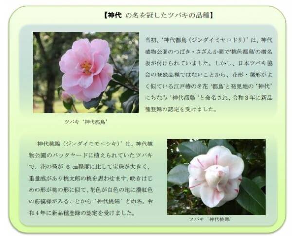 2/14～神代植物公園にて「春の催し」を開催します