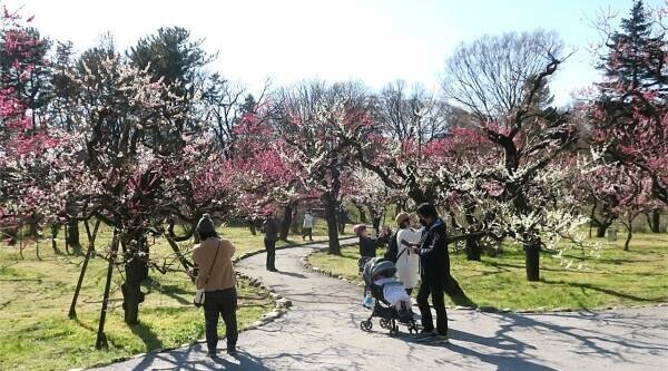 2/14～神代植物公園にて「春の催し」を開催します