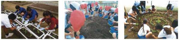 小学校に花の苗を届け続けて３４年 花育を通して子供たちの豊かな心を育みます
