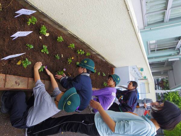 小学校に花の苗を届け続けて３４年 花育を通して子供たちの豊かな心を育みます