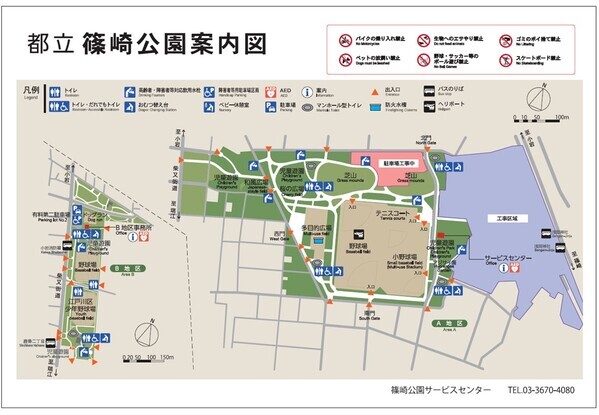 篠崎公園「アジサイまつり」6月16日(日)開催