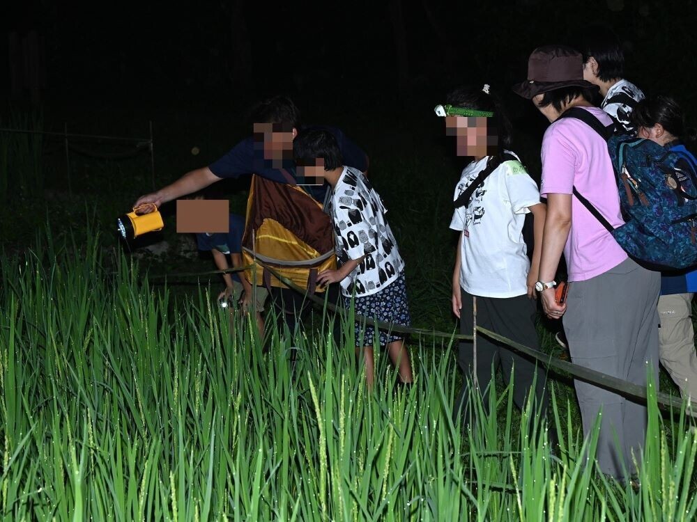 小峰公園で「夜の里山ガイドウォーク＆五感で楽しむ暗闇遊び」8月3日(土)開催！夜の公園で生きものたちの世界を覗いてみよう！