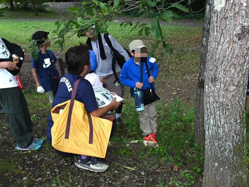 小峰公園で「夜の里山ガイドウォーク＆五感で楽しむ暗闇遊び」8月3日(土)開催！夜の公園で生きものたちの世界を覗いてみよう！